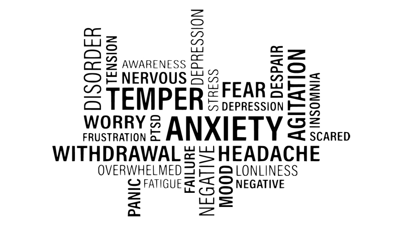 Anxiety Formula - Herbal Health Review